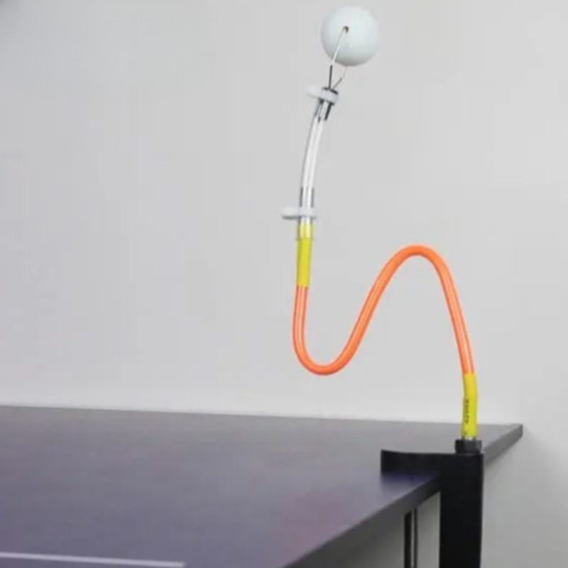 WAP01  Professional Table Tenn - Table Tennis Training review and price