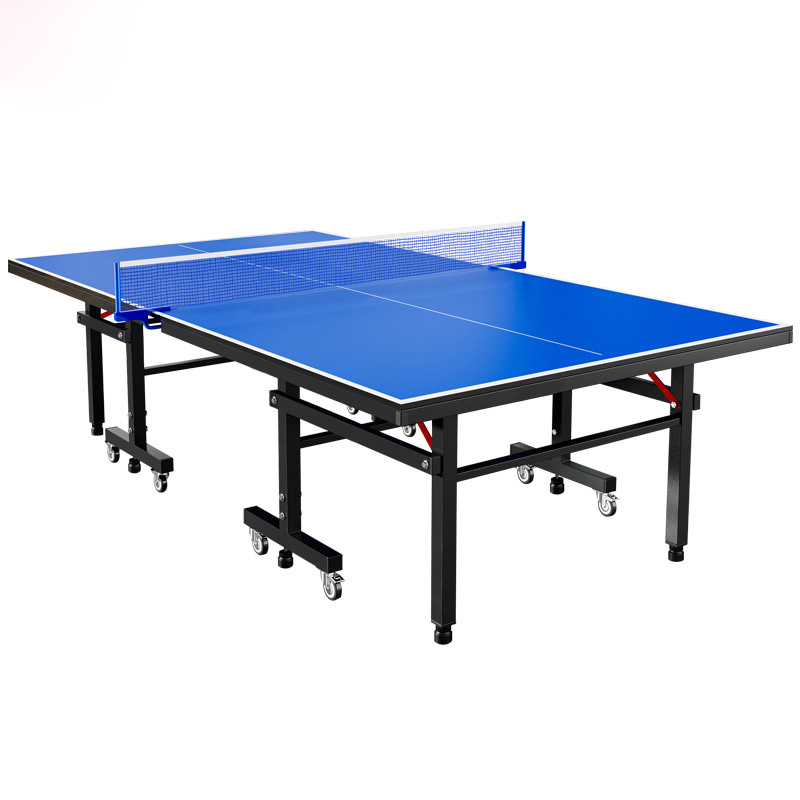 Professional Table Tennis Tabl - Table Tennis Training review and price