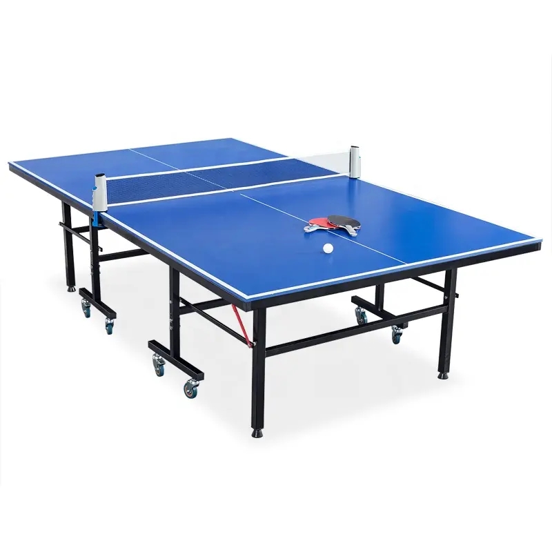 Professional Table Tennis Tabl - Table Tennis Training review and price