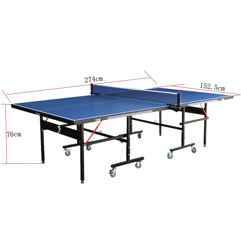 Professional Table Tennis Tabl - Table Tennis Training review and price