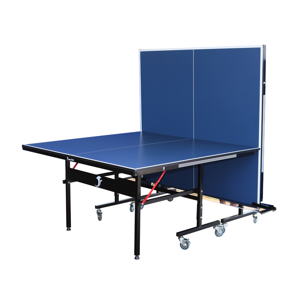 Professional Table Tennis Tabl - Table Tennis Training review and price