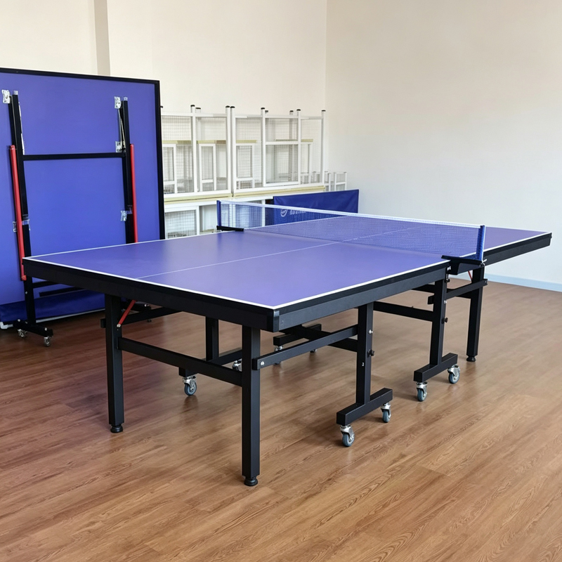 High Quality International Sta - Table Tennis Training review and price