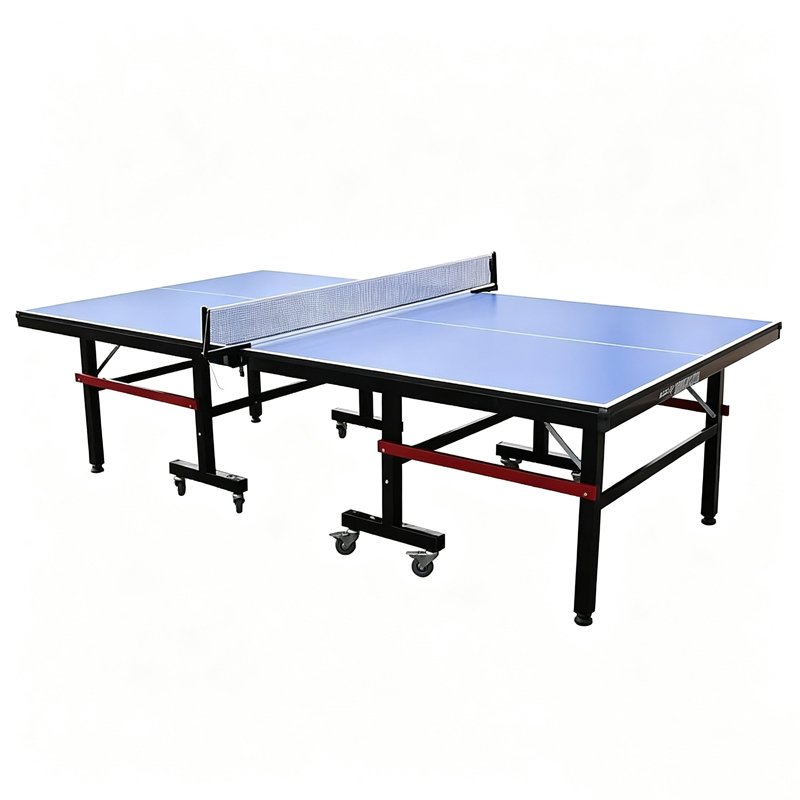 High Quality International Sta - Table Tennis Training review and price