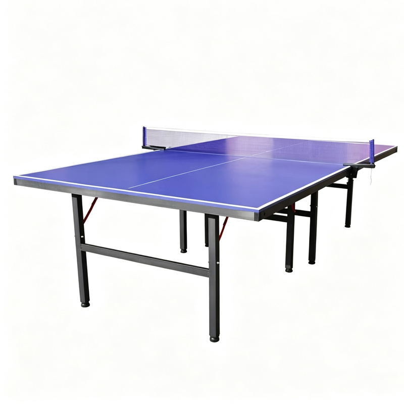 High Quality International Sta - Table Tennis Training review and price