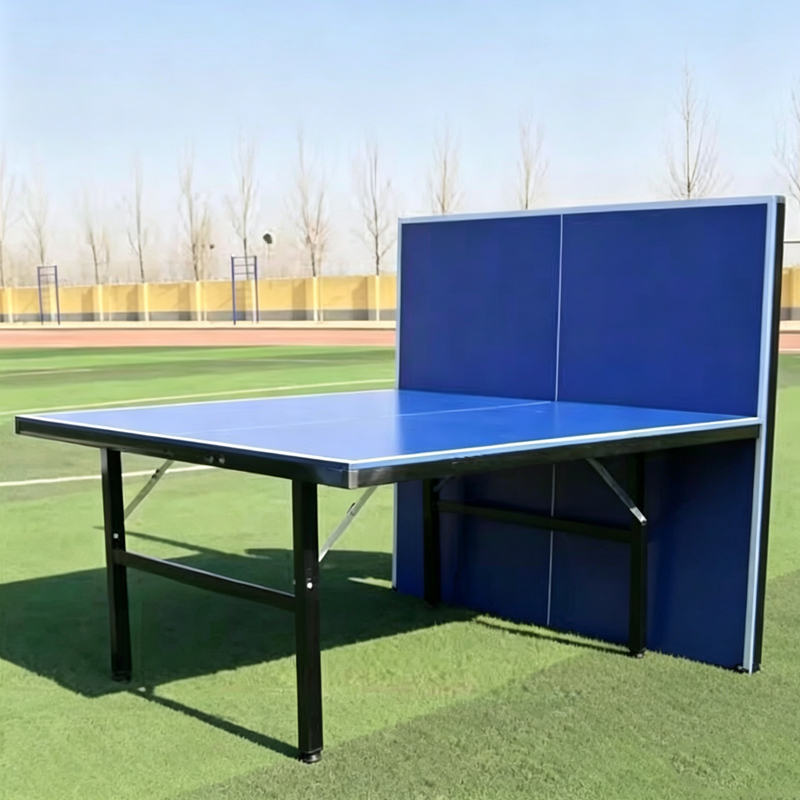 High Quality International Sta - Table Tennis Training review and price