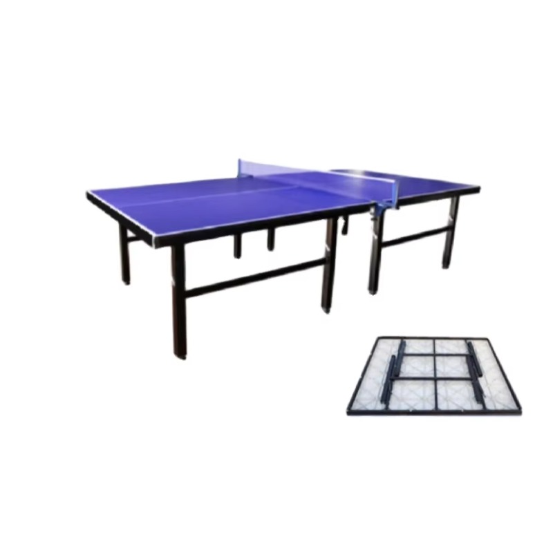 Hot Sale Approved Modern Luxur - Table Tennis Training review and price